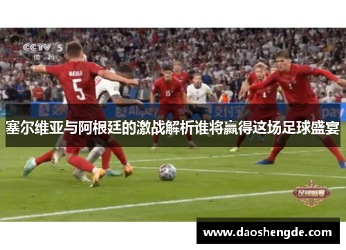 塞尔维亚与阿根廷的激战解析谁将赢得这场足球盛宴