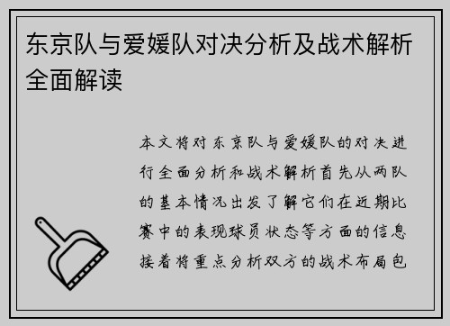 东京队与爱媛队对决分析及战术解析全面解读