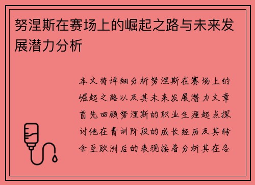 努涅斯在赛场上的崛起之路与未来发展潜力分析
